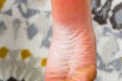 amiragarcia1.rd_.082