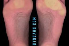 hollyparkercloseups