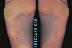 jaimeroyalcloseups