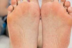 lana_solaire_tgf_1002