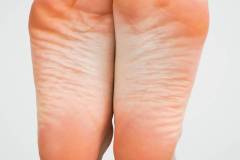 sophieladder2.rd_.072